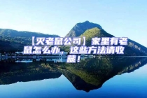 【滅老鼠公司】家里有老鼠怎么辦，這些方法請收藏！