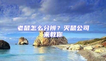 老鼠怎么分辨？滅鼠公司來教你
