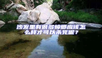 沙發里有很多蟑螂應該怎么樣才可以殺死呢？