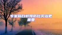 專家稱白蟻預(yù)防比滅治更重要