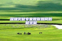 深圳滅鼠專(zhuān)家教你如何防鼠滅鼠