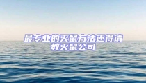 最專業的滅鼠方法還得請教滅鼠公司