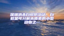 深圳消殺白蟻防治站，白蟻是可分解木質(zhì)素的小型動(dòng)物之一