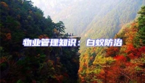 物業(yè)管理知識：白蟻防治