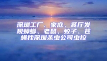 深圳工廠、家庭、餐廳發現蟑螂、老鼠、蚊子、蒼蠅找深圳殺蟲公司蟲控