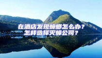 在酒店發現蟑螂怎么辦？怎樣選擇滅蟑公司？