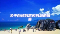 關(guān)于白蟻的常見(jiàn)問(wèn)題的解答