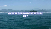 自己買(mǎi)白蟻藥能消滅白蟻嗎？