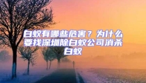 白蟻有哪些危害？為什么要找深圳除白蟻公司消殺白蟻