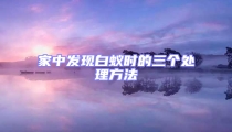 家中發(fā)現(xiàn)白蟻時(shí)的三個(gè)處理方法