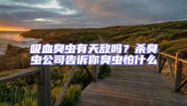 吸血臭蟲有天敵嗎？殺臭蟲公司告訴你臭蟲怕什么