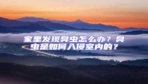 家里發現臭蟲怎么辦？臭蟲是如何入侵室內的？