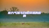 南方氣候與白蟻環(huán)境的影響