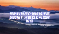 預防白蟻是在裝修前還是裝修后？滅白蟻公司給你解惑