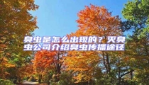 臭蟲(chóng)是怎么出現(xiàn)的？滅臭蟲(chóng)公司介紹臭蟲(chóng)傳播途徑