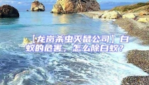 【龍崗殺蟲滅鼠公司】白蟻的危害，怎么除白蟻？