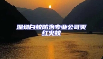 深圳白蟻防治專業公司滅紅火蟻