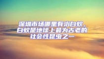 深圳市場哪里有治白蟻，白蟻是地球上最為古老的社會(huì)性昆蟲之一