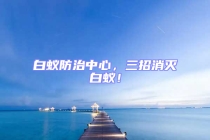 白蟻防治中心，三招消滅白蟻！