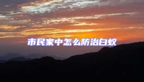 市民家中怎么防治白蟻