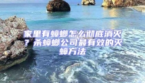 家里有蟑螂怎么徹底消滅？殺蟑螂公司最有效的滅蟑方法
