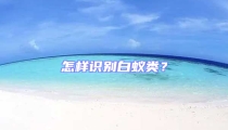 怎樣識別白蟻類？