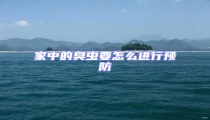 家中的臭蟲要怎么進行預(yù)防