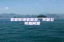 農貿市場老鼠多，滅鼠公司如何做