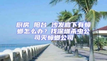 廚房 陽(yáng)臺(tái) 沙發(fā)底下有蟑螂怎么辦？找深圳殺蟲(chóng)公司滅蟑螂公司