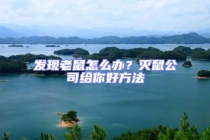 發現老鼠怎么辦？滅鼠公司給你好方法