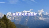 家庭如何防治白蟻