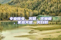 專業除蟲、滅鼠、滅蟑螂、家庭滅鼠、滅白蟻