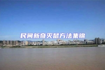 民間新奇滅鼠方法集錦