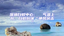 深圳白蟻中心：  氣溫上升，白蟻扮演“神風突擊”