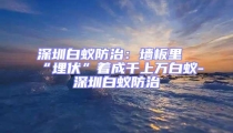 深圳白蟻防治：墻板里“埋伏”著成千上萬白蟻-深圳白蟻防治