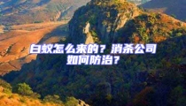 白蟻怎么來的？消殺公司如何防治？