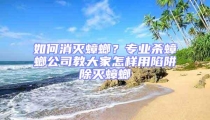 如何消滅蟑螂？專業(yè)殺蟑螂公司教大家怎樣用陷阱除滅蟑螂
