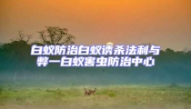 白蟻防治白蟻誘殺法利與弊一白蟻害蟲防治中心