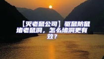 【滅老鼠公司】驅鼠防鼠堵老鼠洞，怎么堵洞更有效？