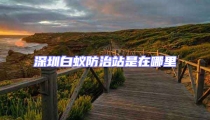 深圳白蟻防治站是在哪里