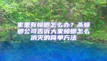 家里有蟑螂怎么辦？殺蟑螂公司告訴大家蟑螂怎么消滅的簡單方法