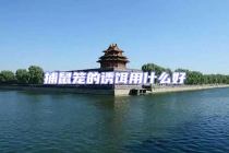 捕鼠籠的誘餌用什么好