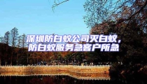深圳防白蟻公司滅白蟻，防白蟻服務(wù)急客戶所急