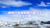 震驚！老鼠的智力相當于8歲兒童