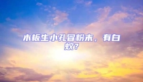 木板生小孔冒粉末，有白蟻？