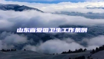 山東省愛國(guó)衛(wèi)生工作條例