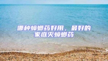 哪種蟑螂藥好用，最好的家庭滅蟑螂藥