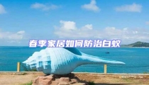 春季家居如何防治白蟻