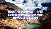 深圳白蟻防治公司：討論白蟻?zhàn)迦簻缰蜗到y(tǒng)防治保國寺古建筑群白蟻