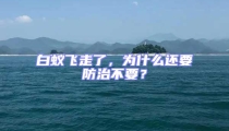 白蟻飛走了，為什么還要防治不要？